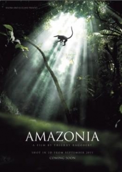 Amazônia 3D