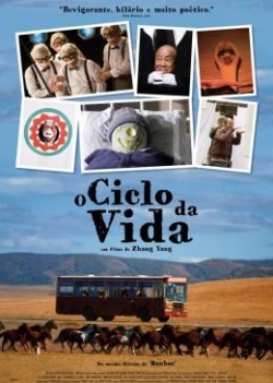 O Ciclo Da Vida