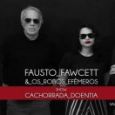 Fausto Fawcett & Os Robôs Efêmeros
