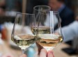 Festival de vinhos RIOVINO agita o Taquara Plaza Shopping