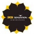 Skol Sensation Innerspace 2013