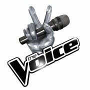 the Voice Tour